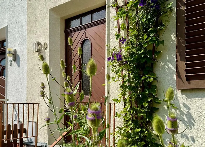 Am Weinaupark تسيتاو